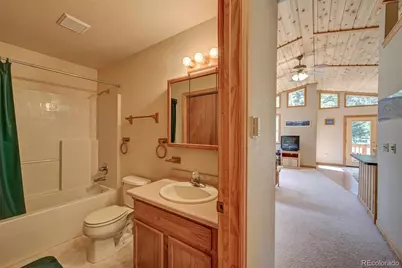 115 Mushroom Court, Buena Vista, CO 81211 - Photo 43