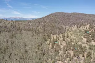 115 Mushroom Ct, Buena Vista, CO 81211 - Photo 19