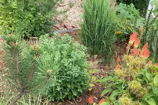 7549 Bantry Ct, Lone Tree, CO 80124 - Photo 33