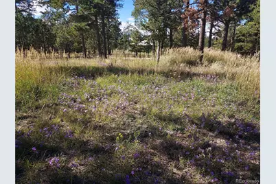 13395 Frank Road, Colorado Springs, CO 80908 - Photo 7