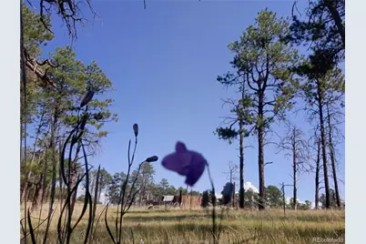 13395 Frank Road, Colorado Springs, CO 80908 - Photo 15