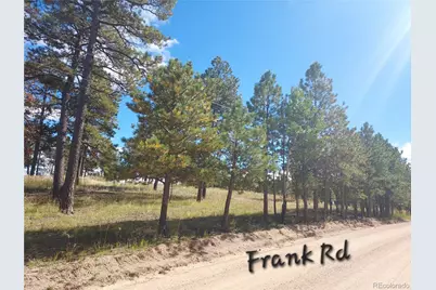13395 Frank Road, Colorado Springs, CO 80908 - Photo 5