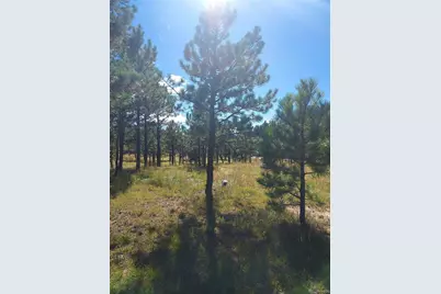 13395 Frank Road, Colorado Springs, CO 80908 - Photo 3