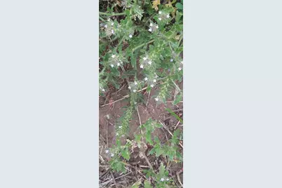 13395 Frank Road, Colorado Springs, CO 80908 - Photo 11