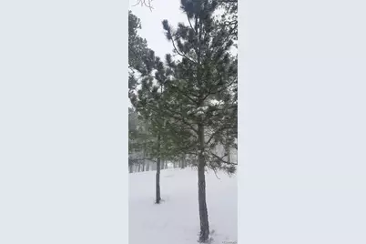 13395 Frank Road, Colorado Springs, CO 80908 - Photo 13