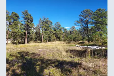 13395 Frank Road, Colorado Springs, CO 80908 - Photo 1