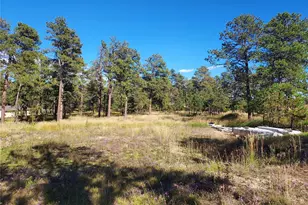 13395 Frank Rd, Colorado Springs, CO 80908 - Photo 1