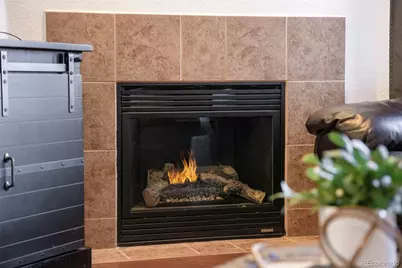 10751 Twenty Mile Road #206, Parker, CO 80134 - Photo 5