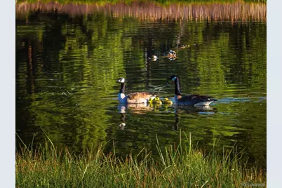 23490 County Road 501, Bayfield, CO 81122 - Photo 43