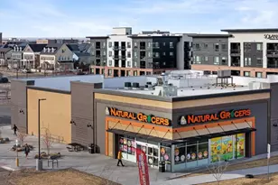 3685 Willow St, Denver, CO 80238 - Photo 37