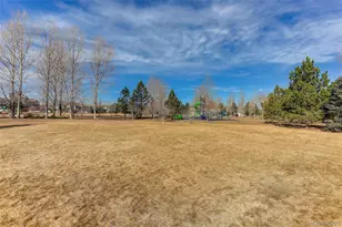 12972 Banyon Cir, Parker, CO 80134 - Photo 47