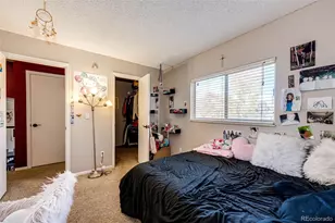 5523 S Malta St, Centennial, CO 80015 - Photo 19