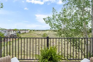 3360 Ashworth Ave, Highlands Ranch, CO 80126 - Photo 23