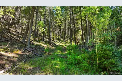 13446 S Firedog Way, Larkspur, CO 80118 - Photo 1