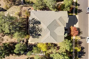 20132 E Shady Ridge Rd, Parker, CO 80134 - Photo 43