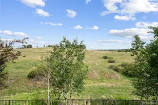 10796 Quail Creek Dr E, Parker, CO 80138 - Photo 47