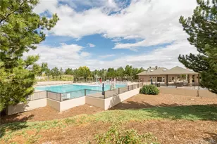 9723 Crowsley Ct, Parker, CO 80134 - Photo 39
