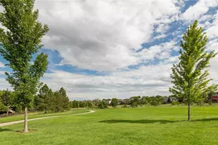 9723 Crowsley Ct, Parker, CO 80134 - Photo 45