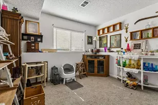 9383 Weeping Willow Ct, Highlands Ranch, CO 80130 - Photo 23