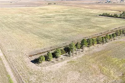 Heidemann Avenue, Franktown, CO 80116 - Photo 7