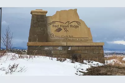 1497 Red Peak Drive, Castle Rock, CO 80109 - Photo 49