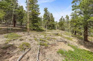 125 Rd P62, Bailey, CO 80421 - Photo 31