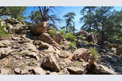 134 Knight Lane, Cotopaxi, CO 81223 - Photo 13