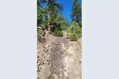 134 Knight Lane, Cotopaxi, CO 81223 - Photo 23