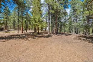 237 Rd B, Pine, CO 80470 - Photo 19