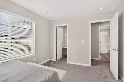 943 Oleander Street, Castle Rock, CO 80109 - Photo 31