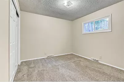 29592 Dorothy Road, Evergreen, CO 80439 - Photo 19