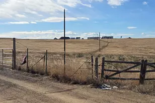 26101 Flower Cir, Simla, CO 80835 - Photo 47