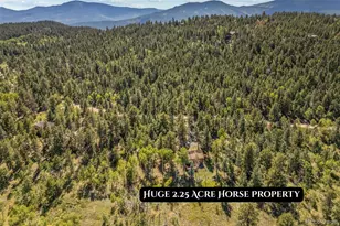 1889 Burland Dr, Bailey, CO 80421 - Photo 41