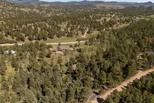 1889 Burland Dr, Bailey, CO 80421 - Photo 45