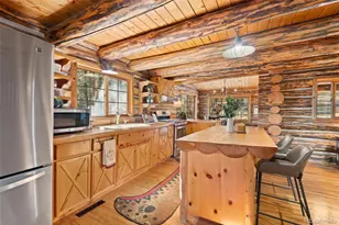 1889 Burland Dr, Bailey, CO 80421 - Photo 25