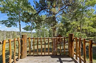 1889 Burland Dr, Bailey, CO 80421 - Photo 29