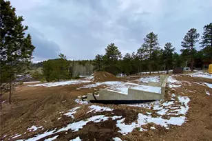 174 Chickadee Dr, Bailey, CO 80421 - Photo 17