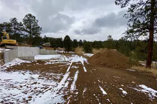 174 Chickadee Dr, Bailey, CO 80421 - Photo 13