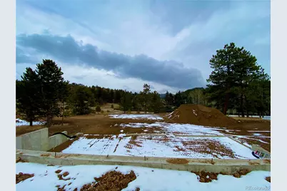 174 Chickadee Drive, Bailey, CO 80421 - Photo 21