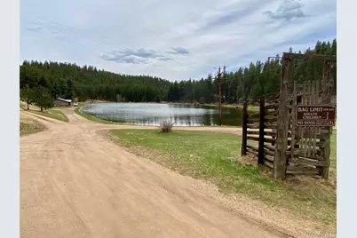 174 Chickadee Drive, Bailey, CO 80421 - Photo 19