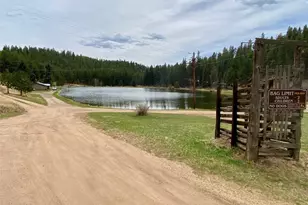174 Chickadee Dr, Bailey, CO 80421 - Photo 19