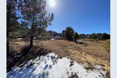 174 Chickadee Drive, Bailey, CO 80421 - Photo 23