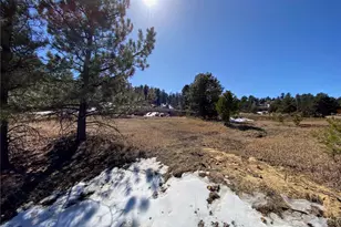 174 Chickadee Dr, Bailey, CO 80421 - Photo 23
