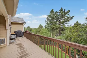 395 Dawson Ct, Castle Rock, CO 80104 - Photo 31