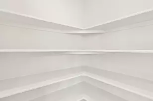 1628 Yampa River Dr, Windsor, CO 80550 - Photo 23