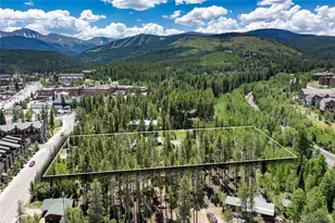 247 Lions Gate Dr, Winter Park, CO 80482 - Photo 1
