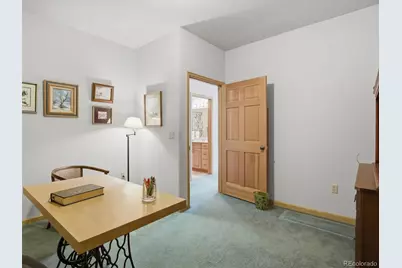232 Highlands Drive, Bailey, CO 80421 - Photo 43