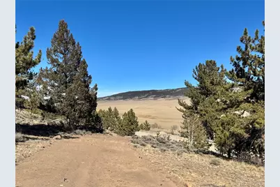 25 Redhill Court, Fairplay, CO 80440 - Photo 3