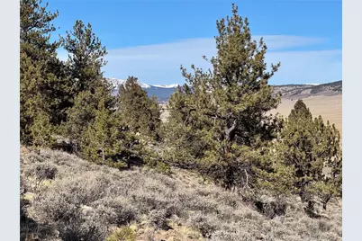 25 Redhill Court, Fairplay, CO 80440 - Photo 21