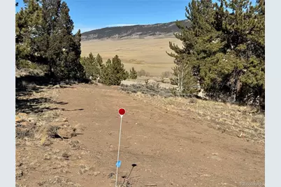 25 Redhill Court, Fairplay, CO 80440 - Photo 31